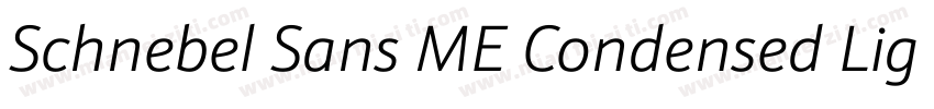 Schnebel Sans ME Condensed Light字体转换